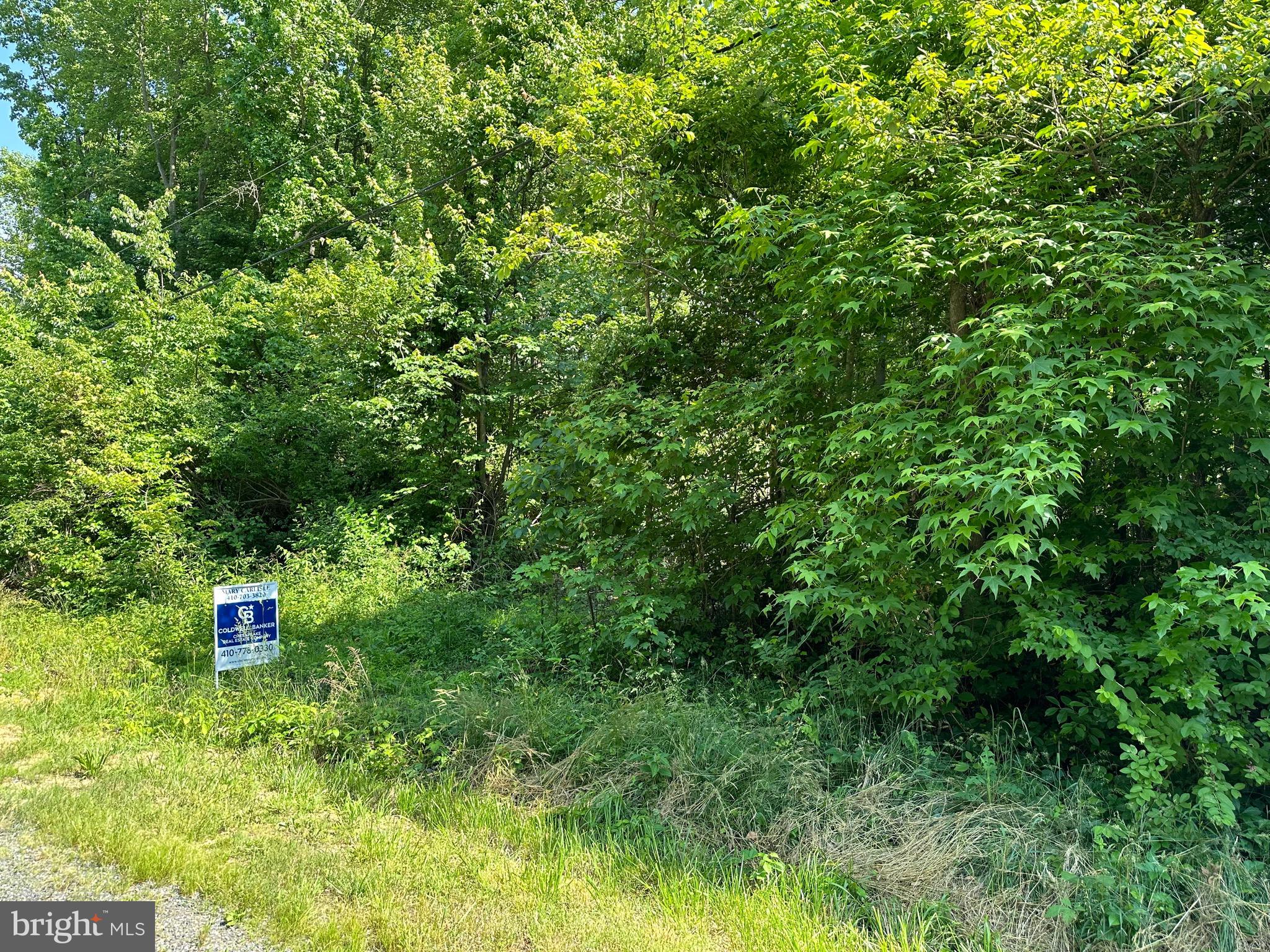 CHESAPEAKE LANDING - Land