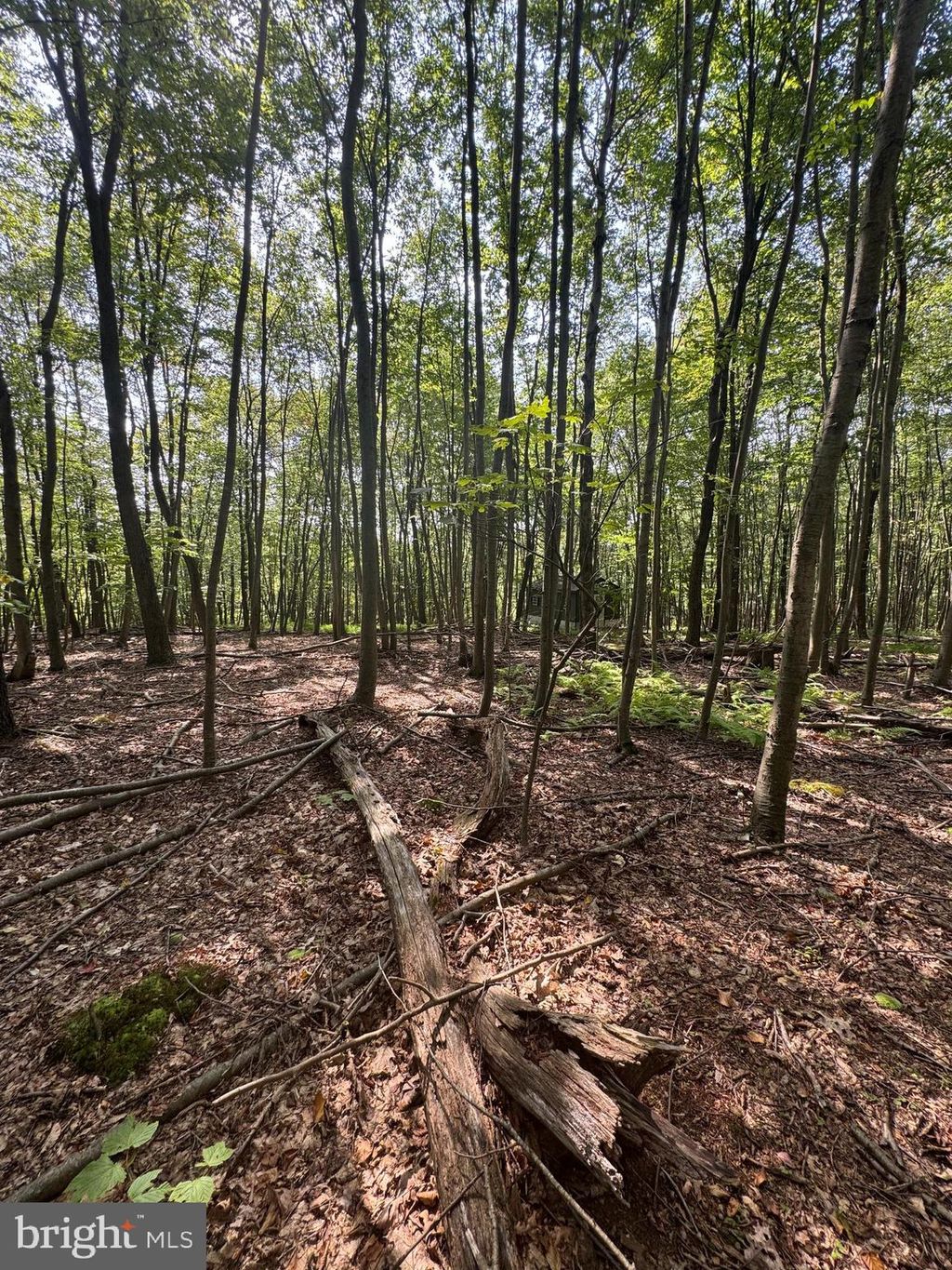 Photo of 8165 Sand Rock Rd, HUNTINGDON, PA 16652 (MLS # PAHU2023816)