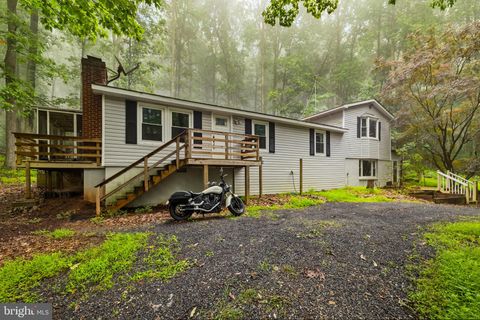 247 MARSDEN HEIGHTS ROAD LINDEN VA 22642