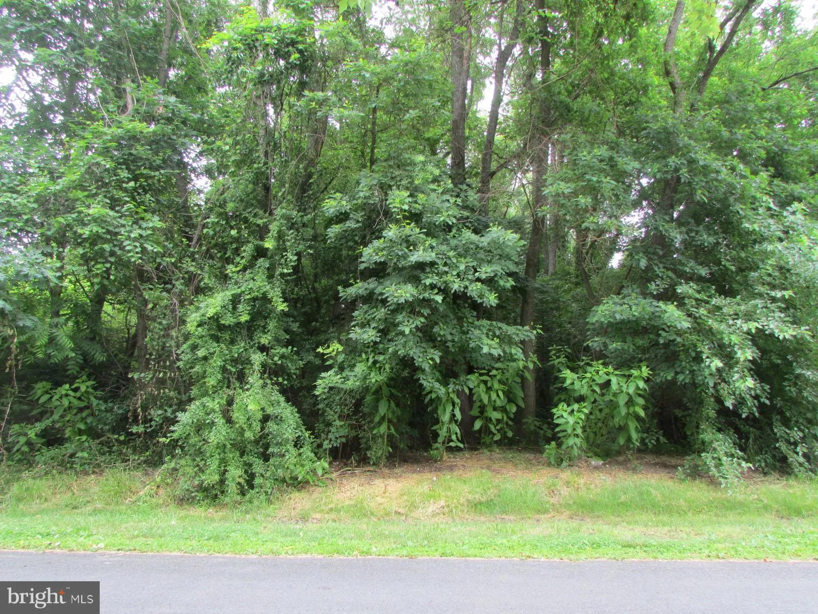 Additional image 2 of 101 Creston Road, Chestertown, MD 21620