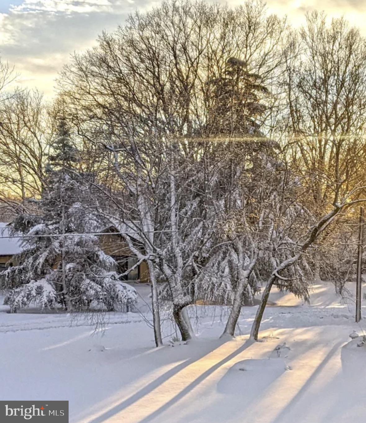 QUEEN ANNE COLONY - Residential