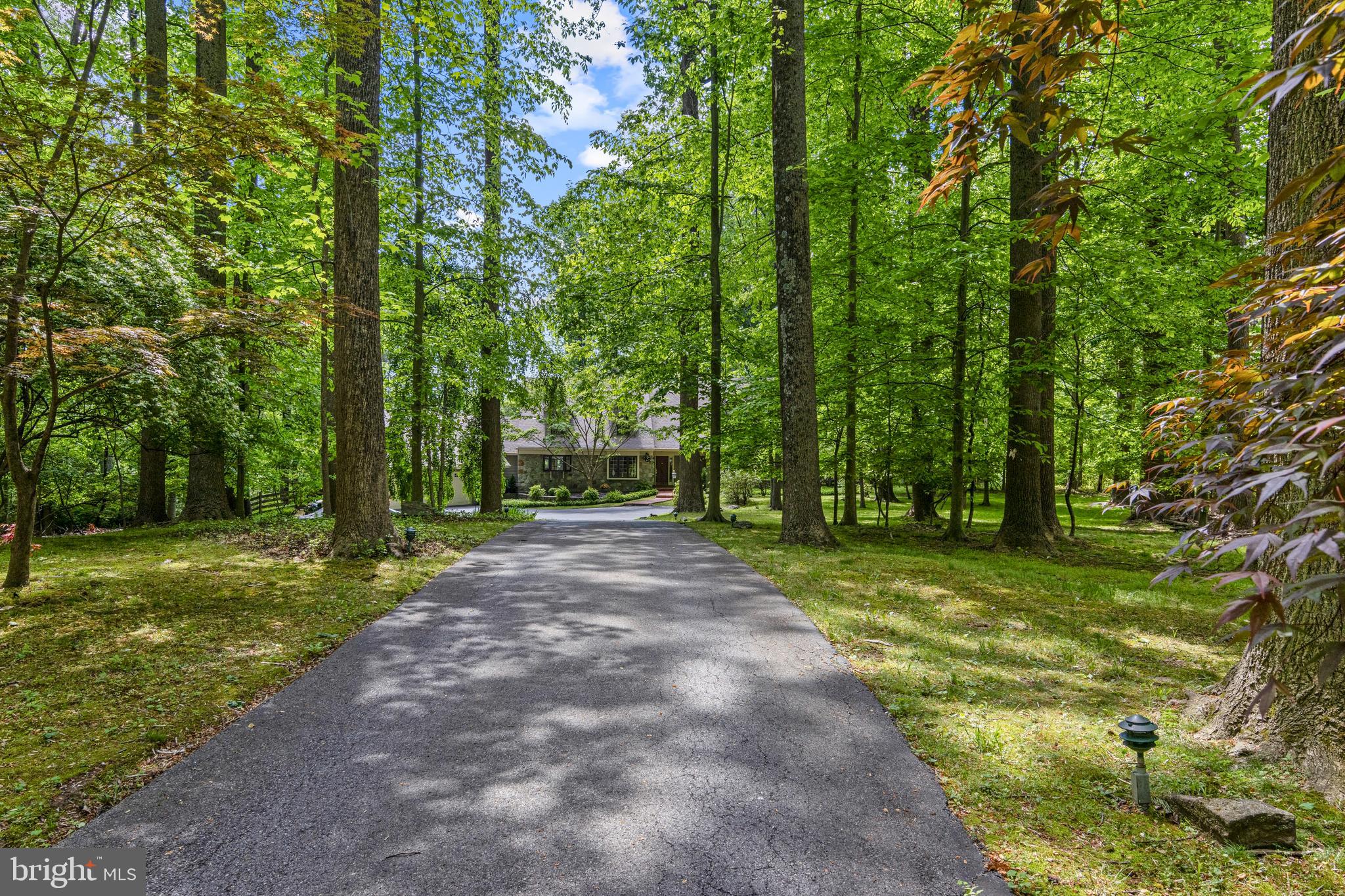 THE WOODS - Residential