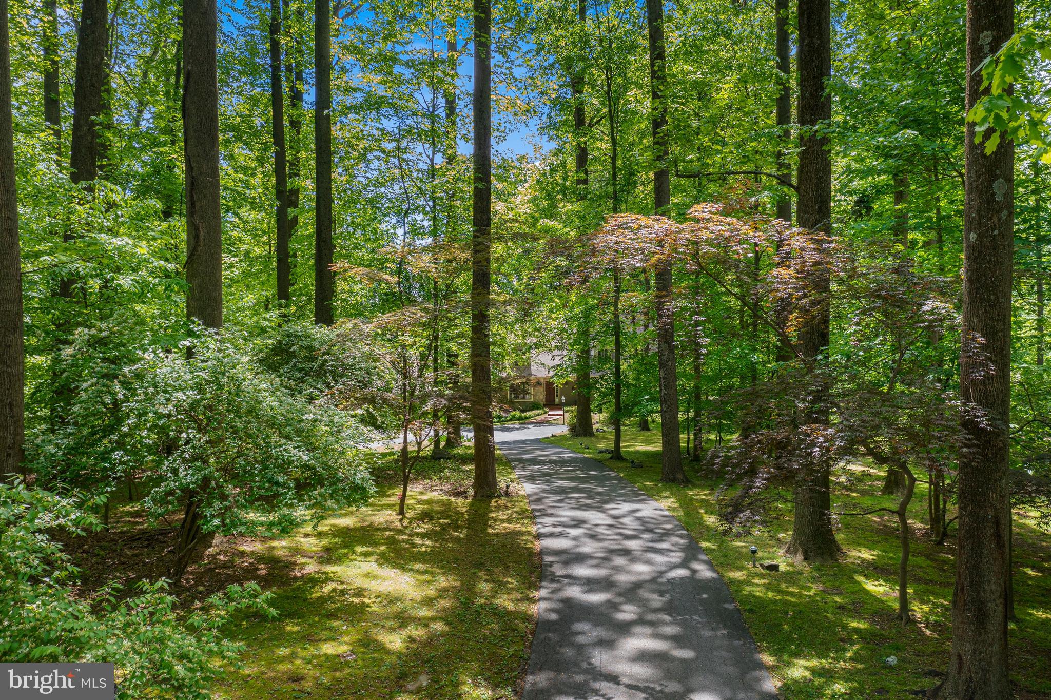 THE WOODS - Residential