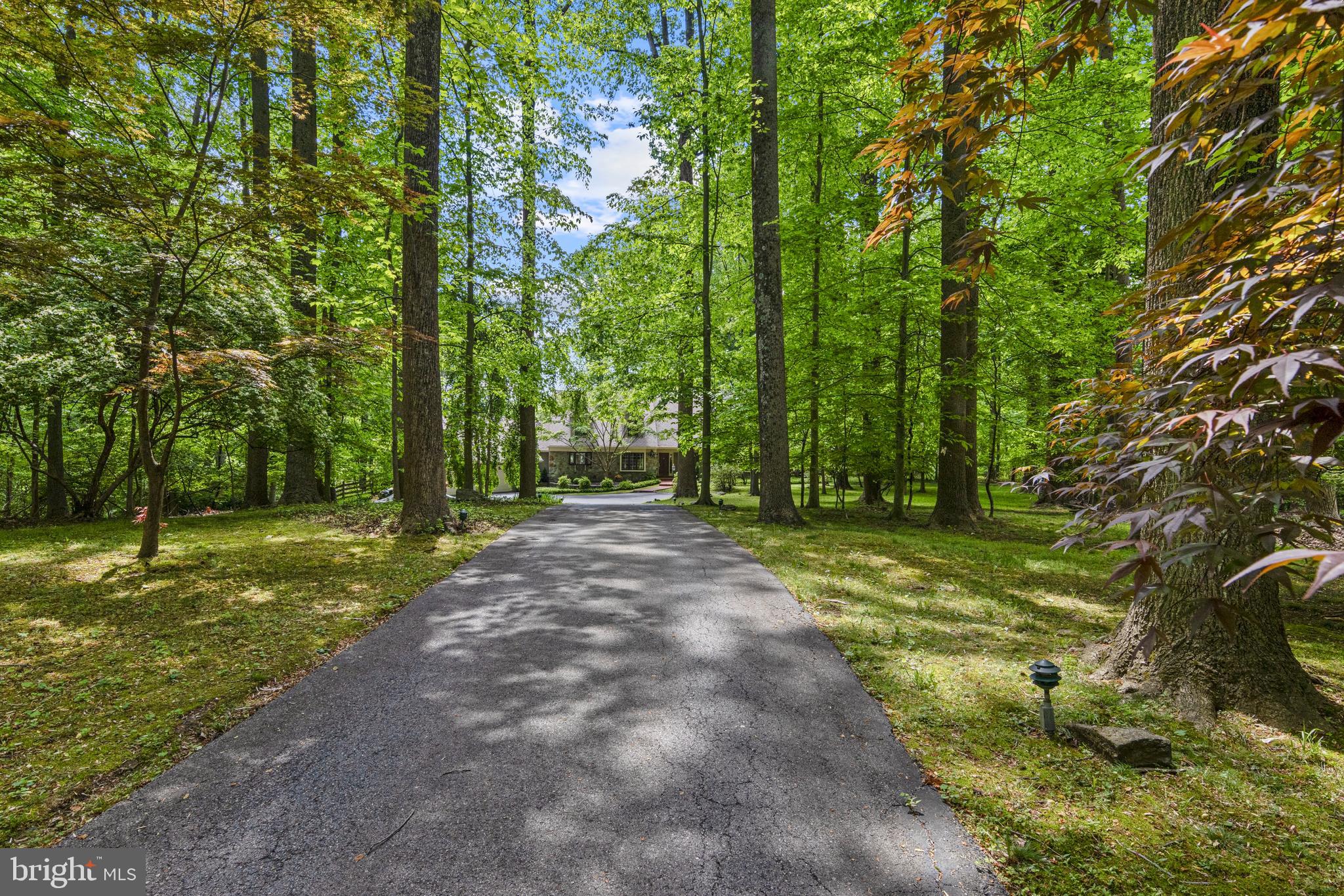 THE WOODS - Residential