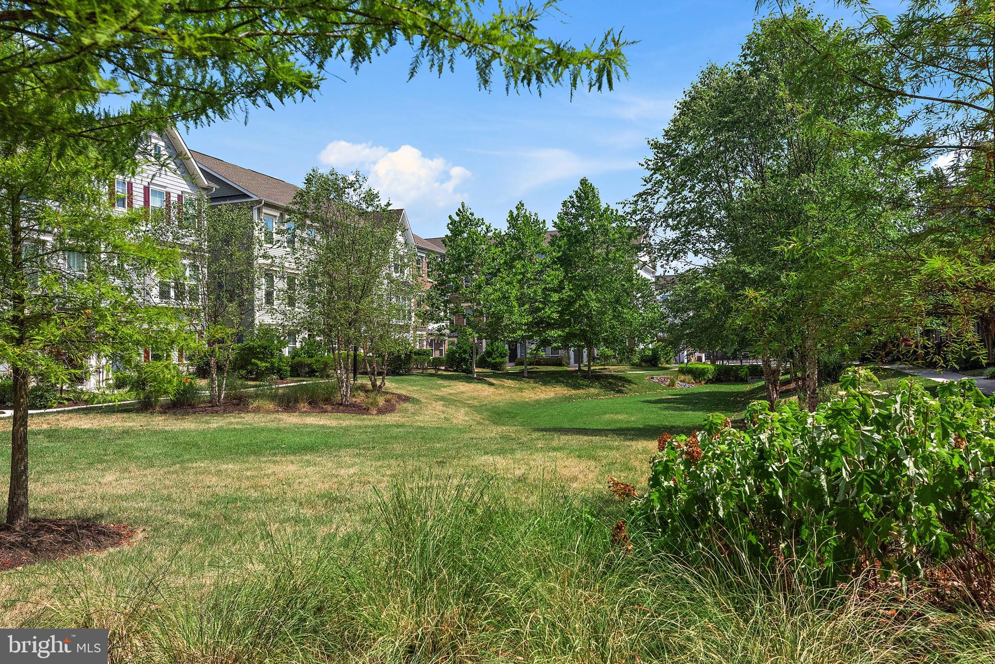 VILLAGE GREENS - Residential