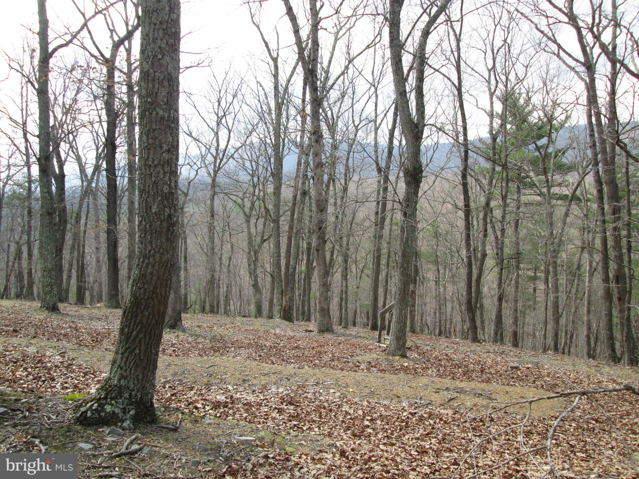 CEDAR RUN - Residential