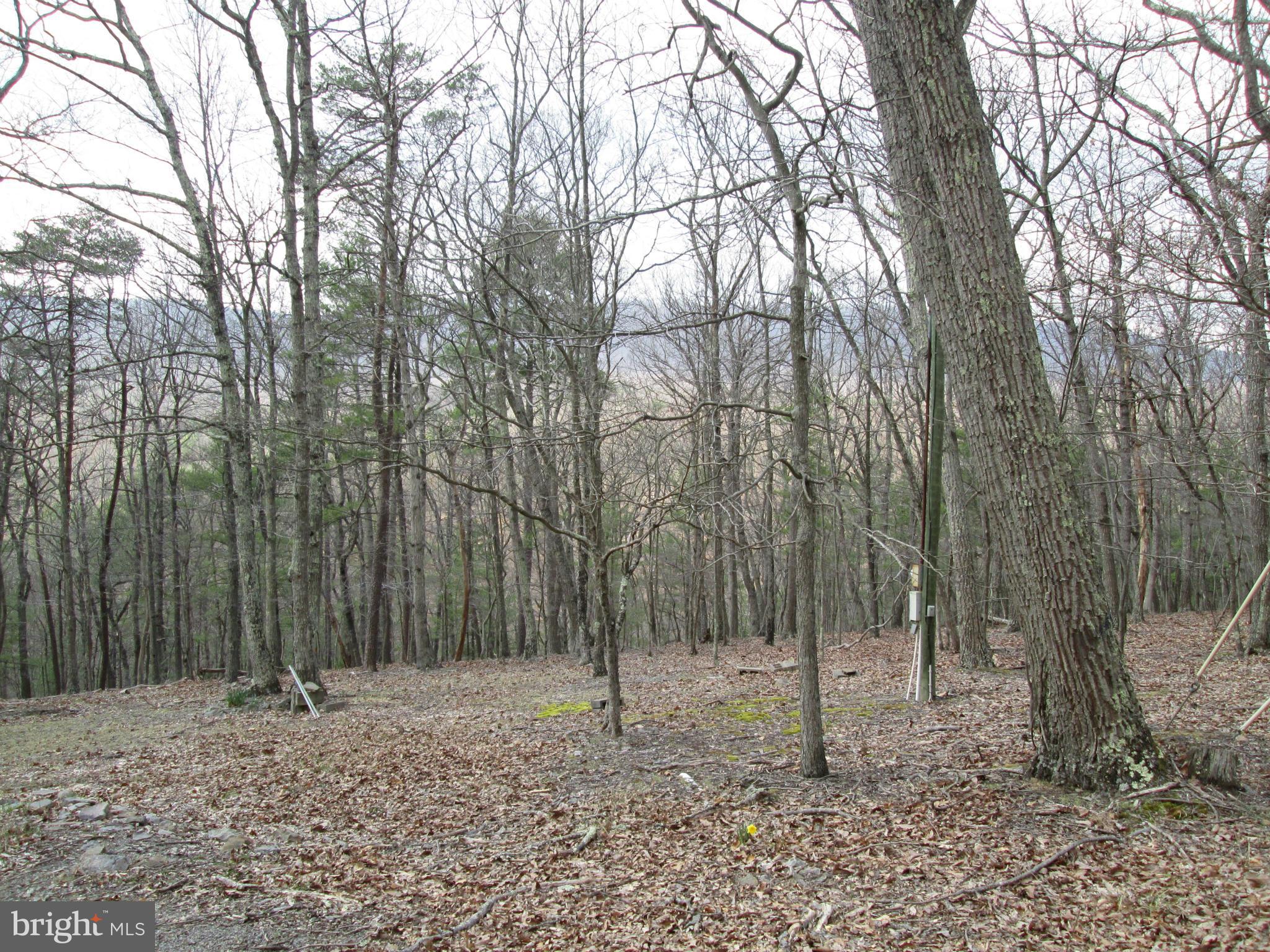 CEDAR RUN - Residential