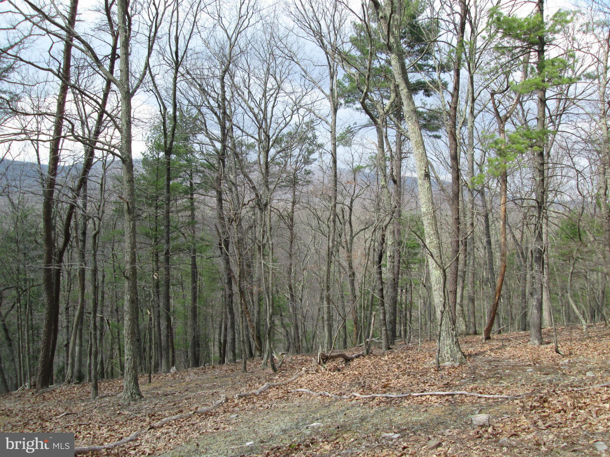 CEDAR RUN - Residential