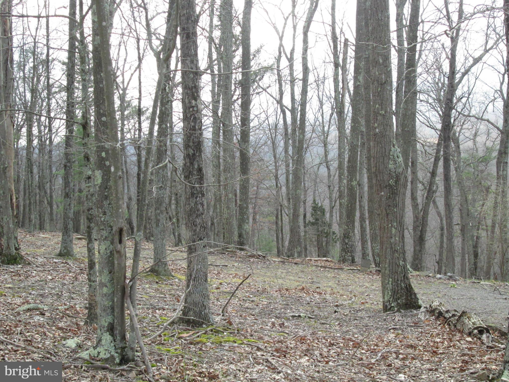 CEDAR RUN - Residential