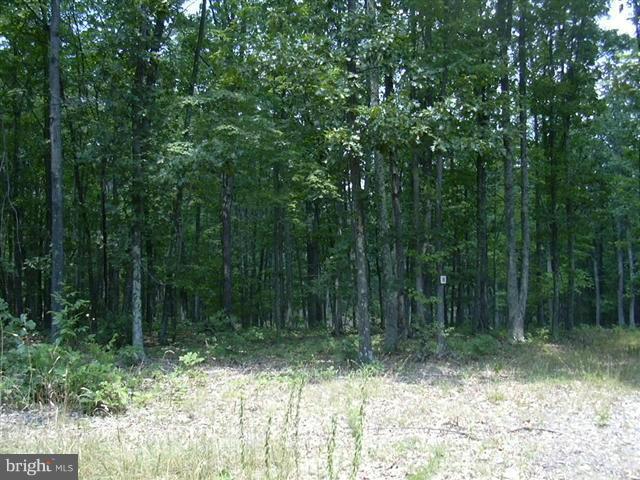 SLEEPY KNOLLS - Land