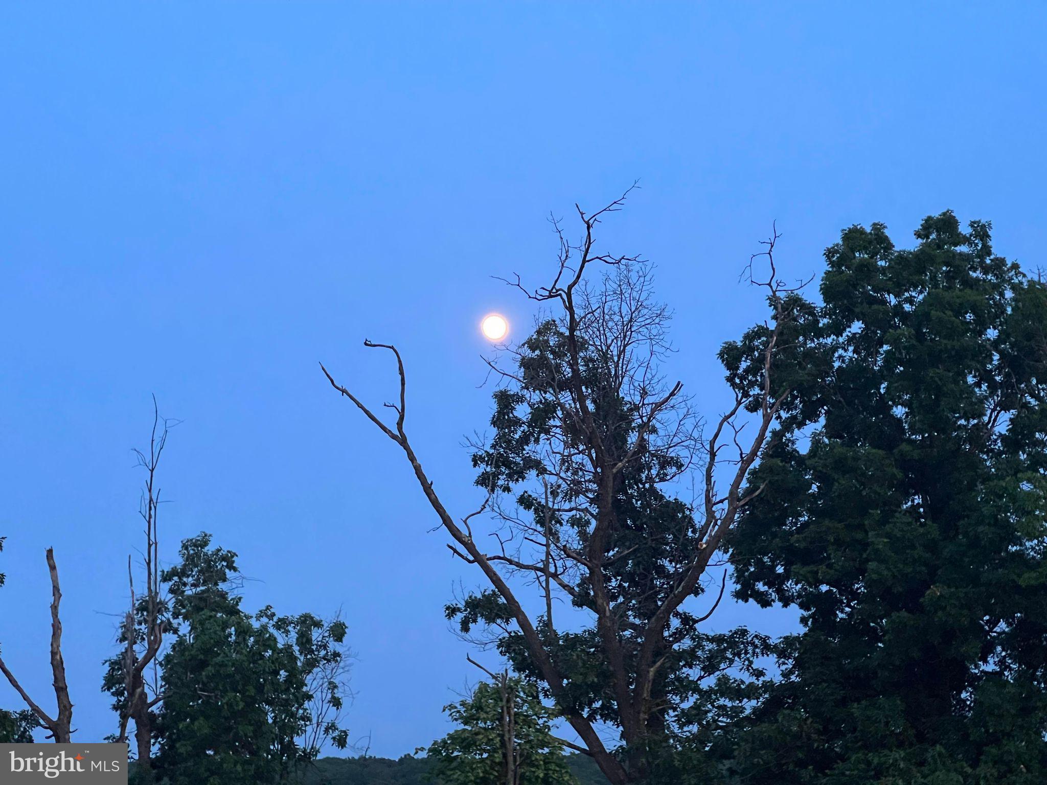 SLEEPY KNOLLS - Land