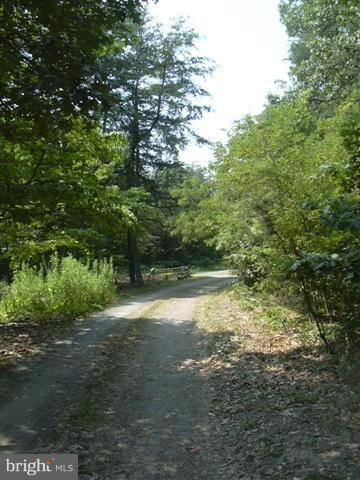 SLEEPY KNOLLS - Land