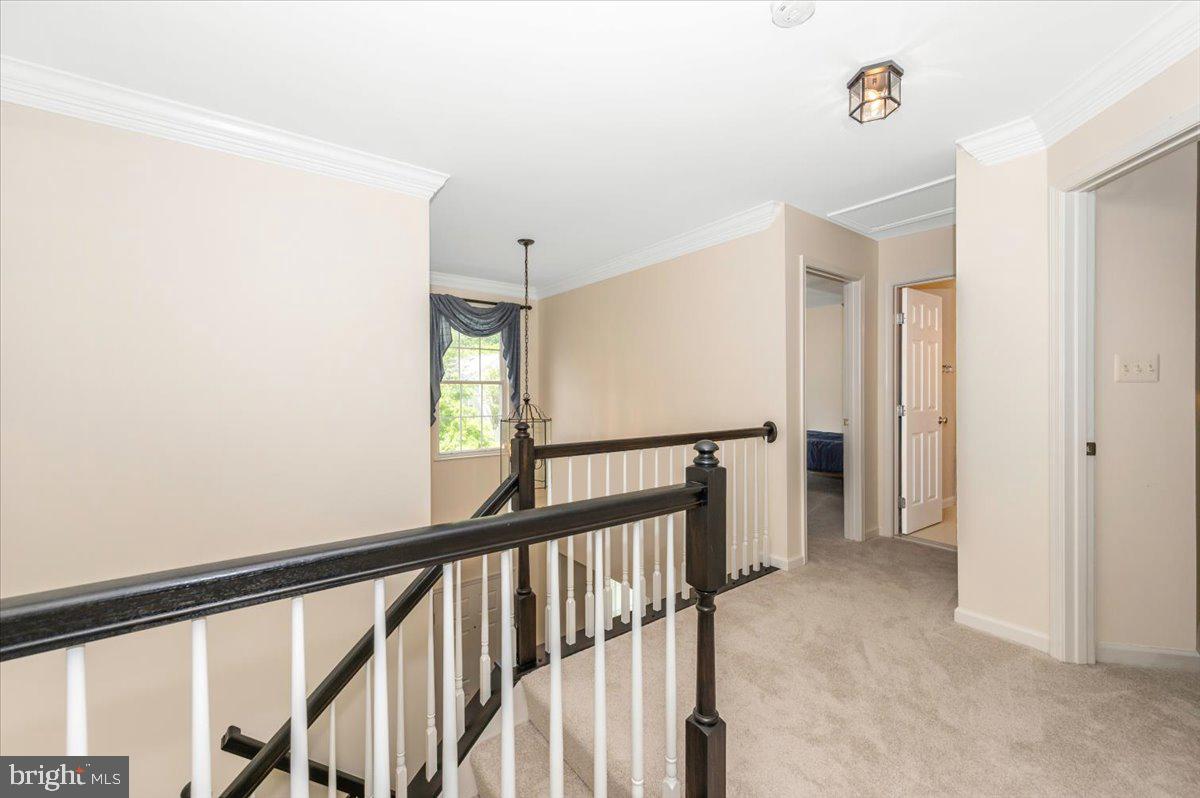 JAMES CREEK - Residential