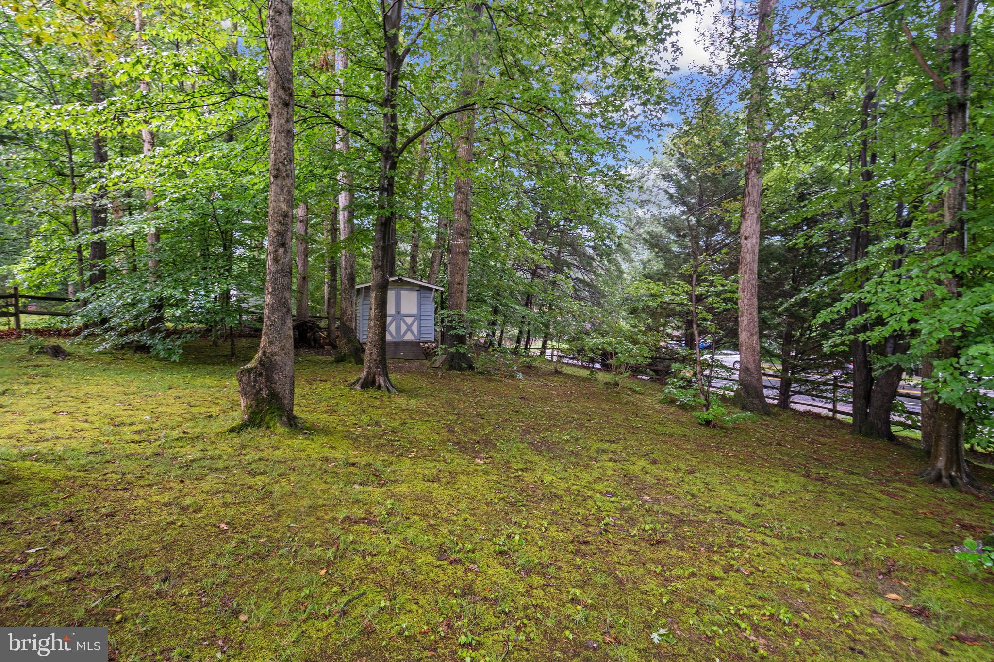 8733 COLD PLAIN COURT
