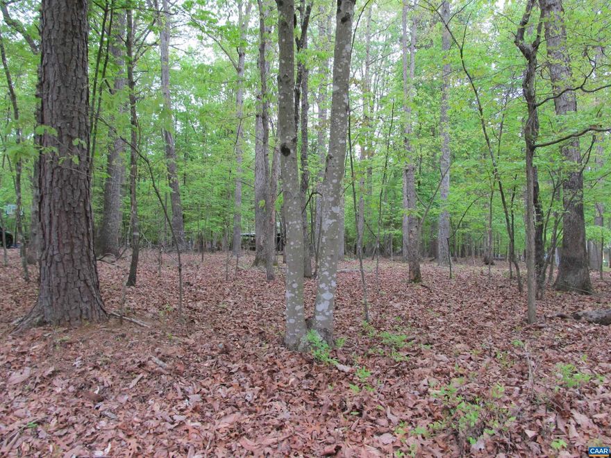 Oversized, nearly, level, building lot located in beautiful Lake Monticello.  Close to the Golf Course, Beach 2, Shops, Restaurants and the Slice Court entrance gate. Vacation Year Round with 5 beaches, 352 Acre Recreational Lake, Tennis/Pickleball Courts, basketball courts, playgrounds, ball fields and fishing lake.  Approximately 20 -25 minutes to Charlottesville.