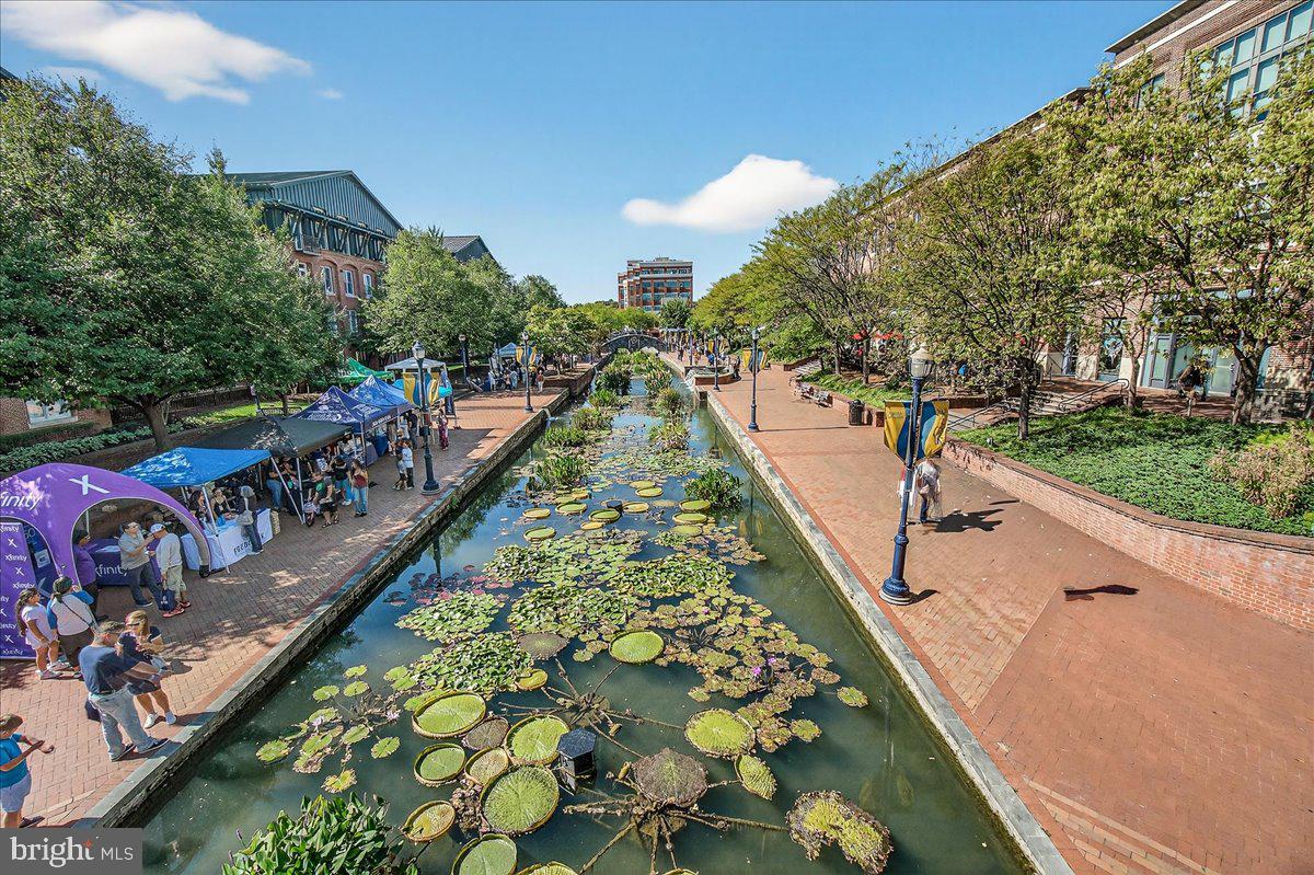 MAXWELL PLACE - Residential