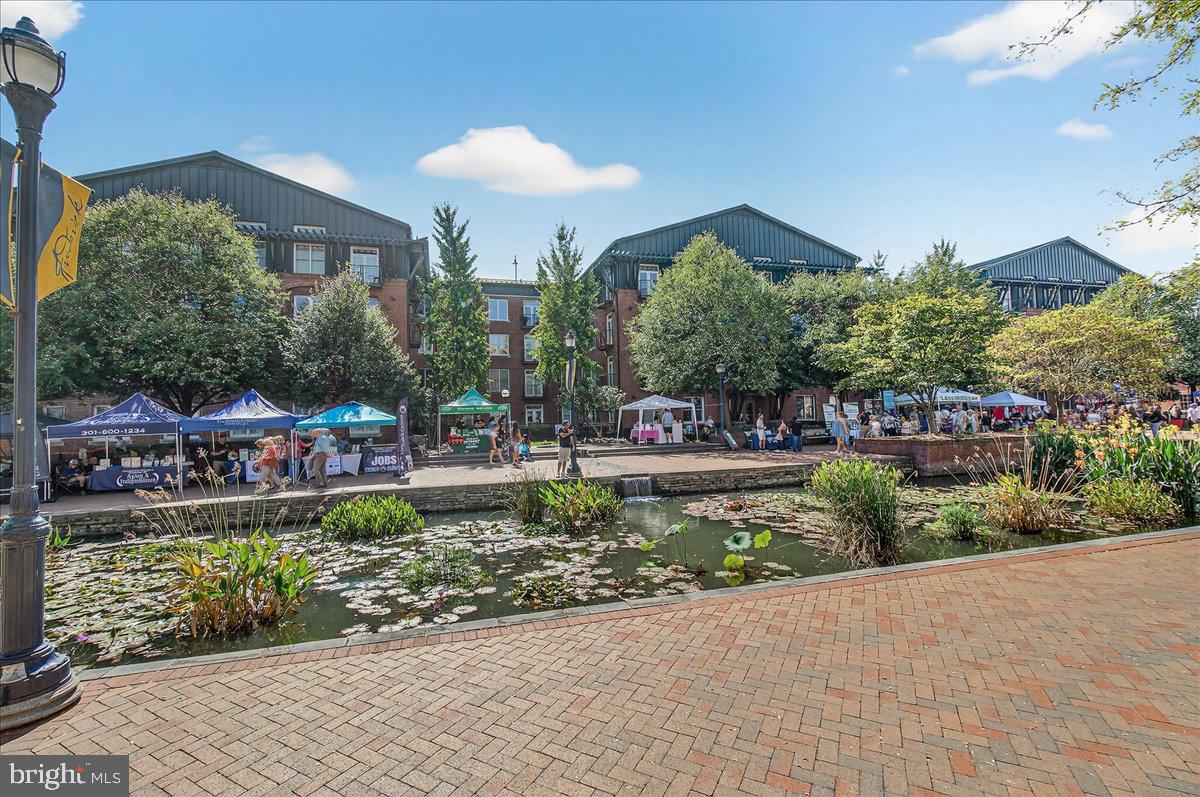 MAXWELL PLACE - Residential