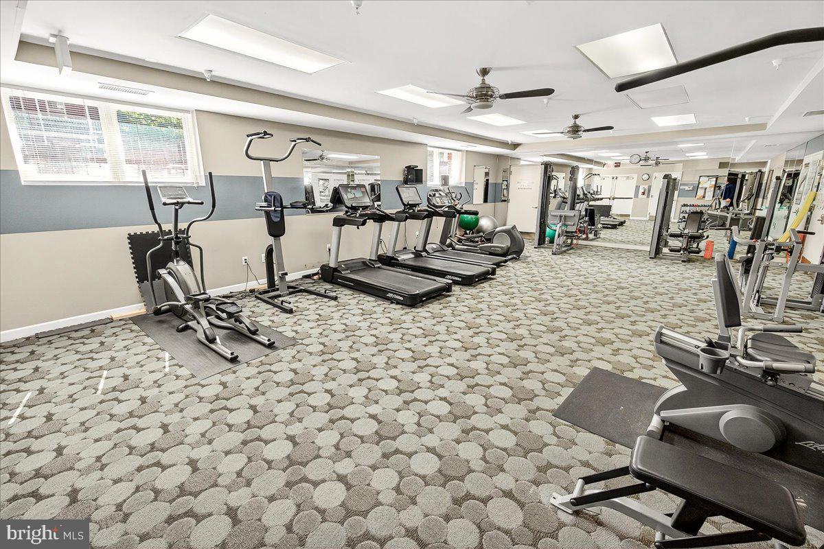 MAXWELL PLACE - Residential