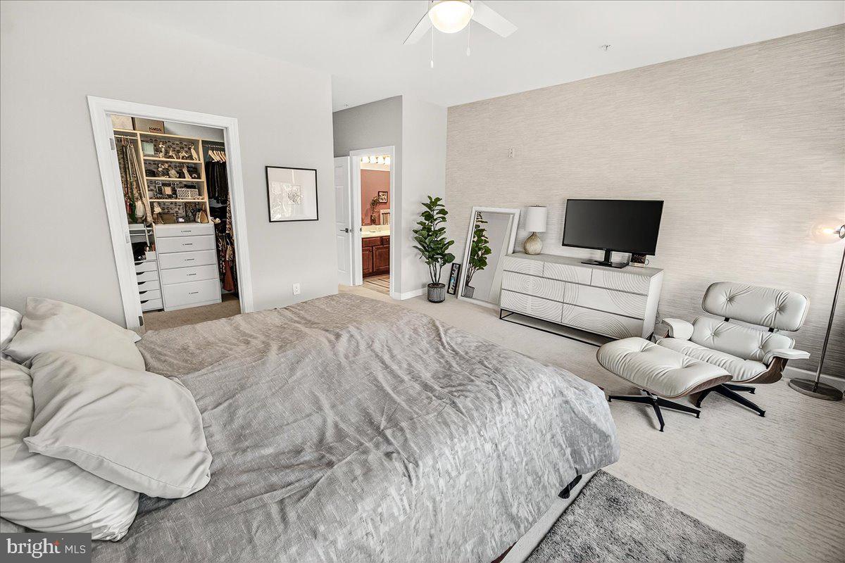 MAXWELL PLACE - Residential