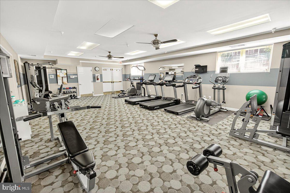 MAXWELL PLACE - Residential