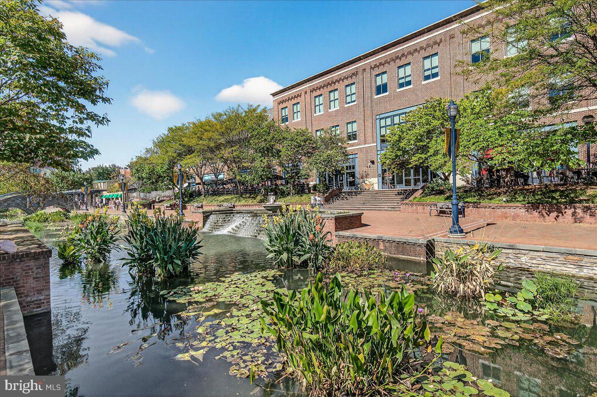 MAXWELL PLACE - Residential