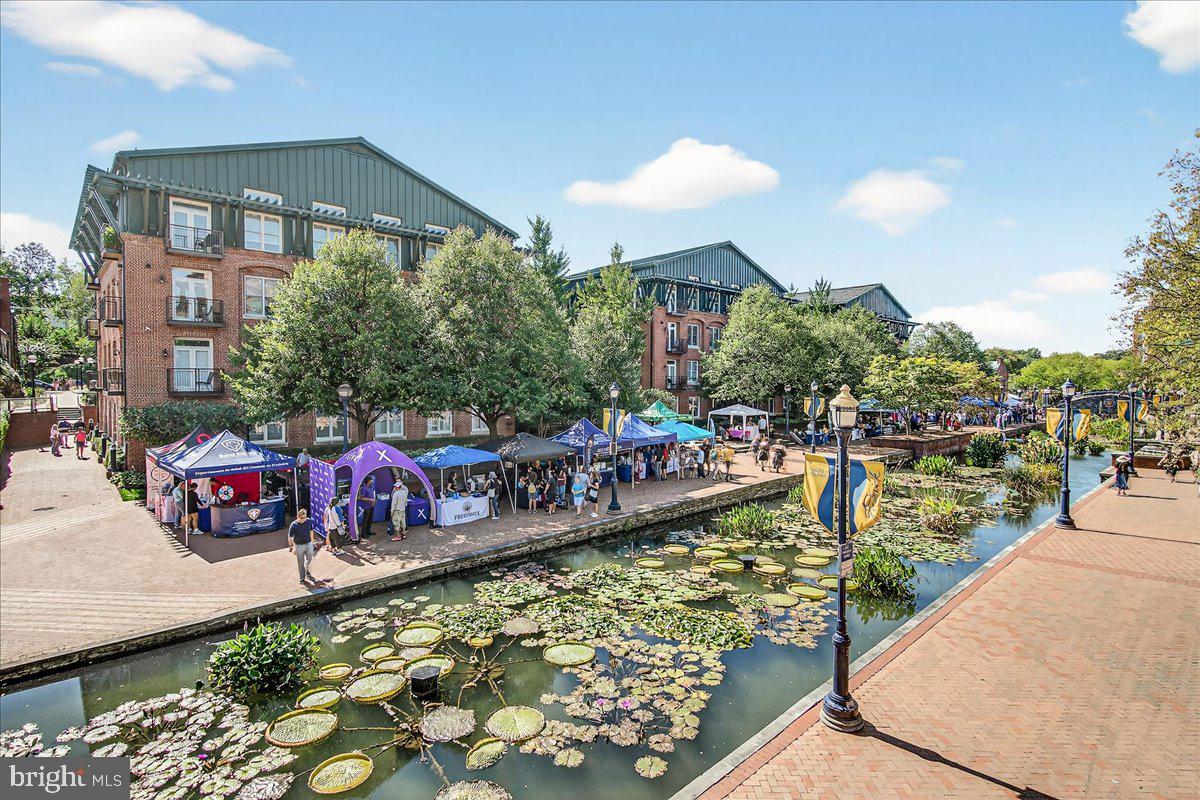 MAXWELL PLACE - Residential