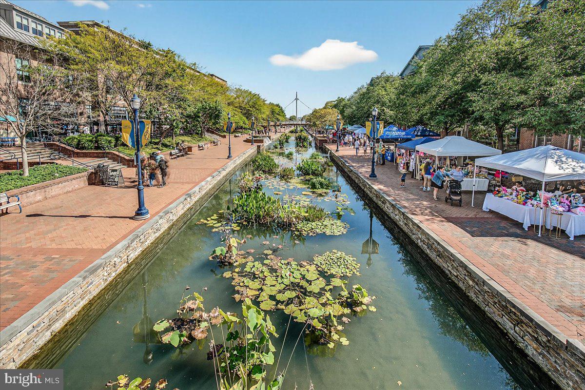 MAXWELL PLACE - Residential