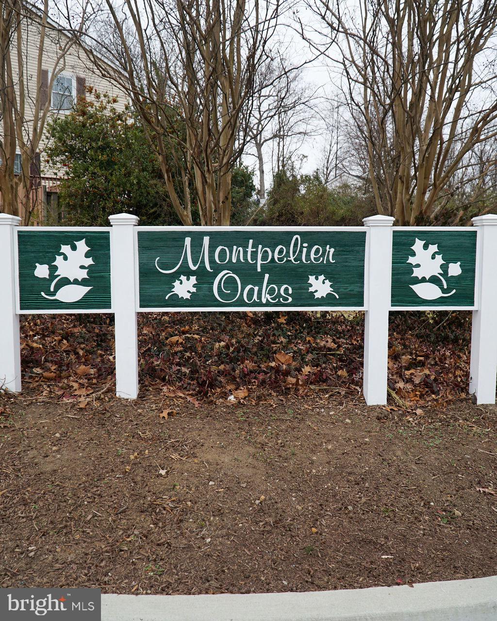 MONTPELIER OAKS - Residential