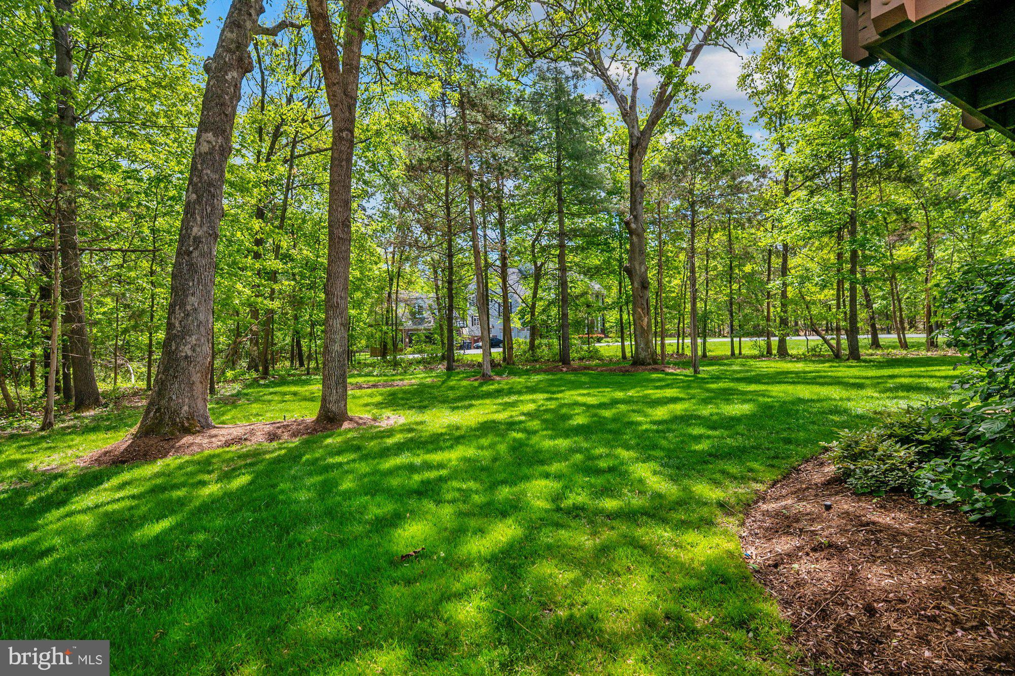 PLEASANT FOREST - Residential
