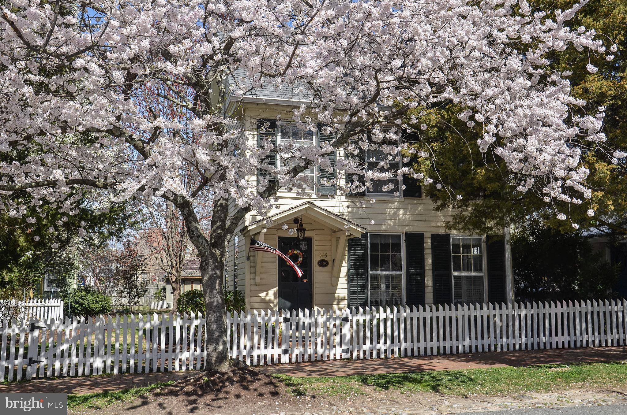 103 MULBERRY STREET
