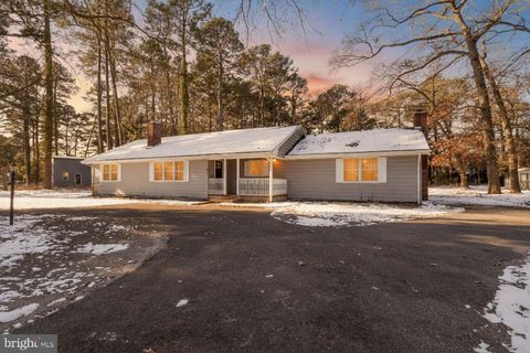 20146 COLLINS MILL DRIVE BRIDGEVILLE DE 19933
