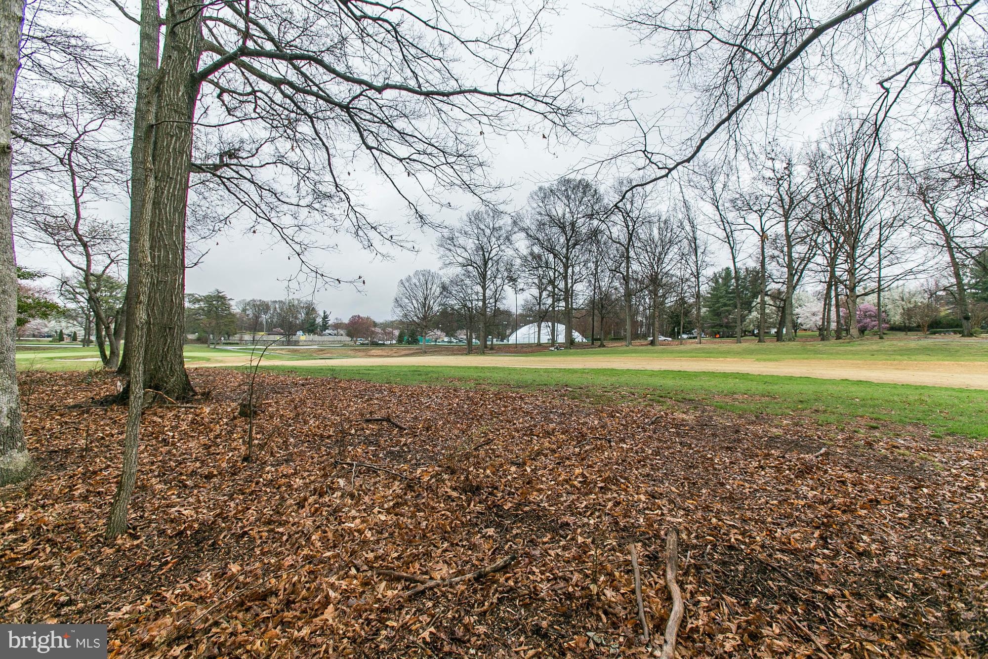 COUNTRY CLUB/LAKE MONTCLAIR - Residential