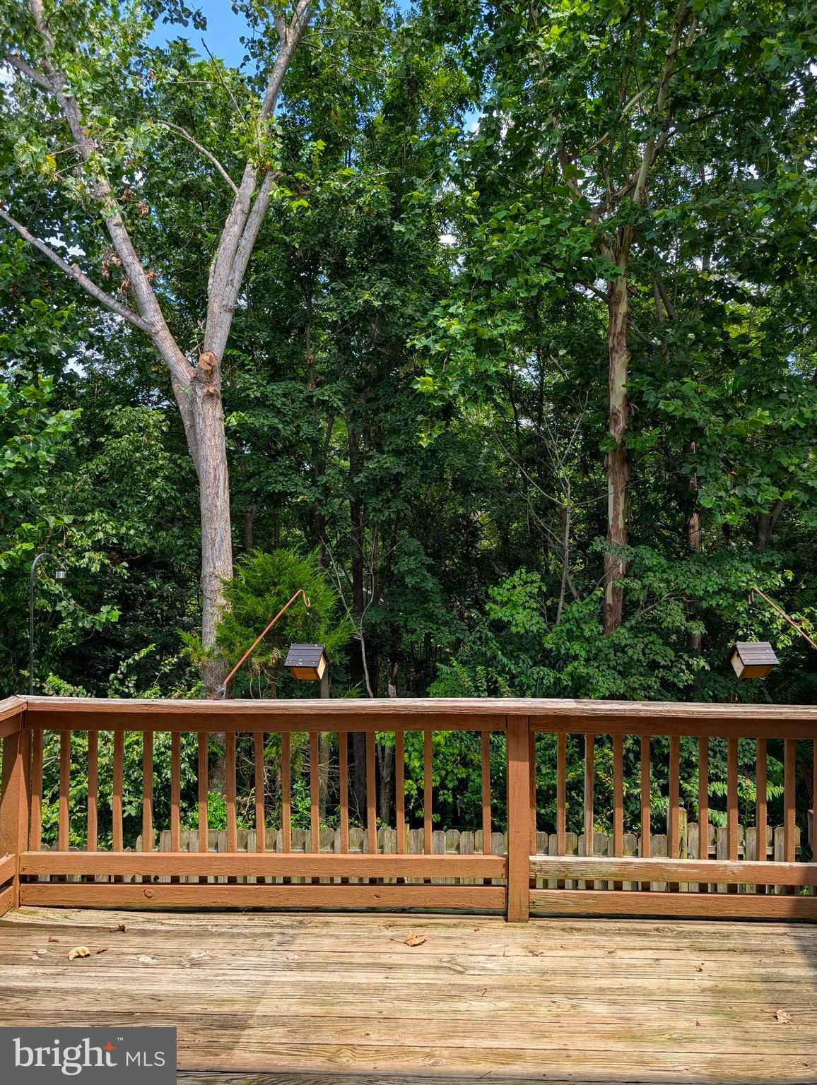 5655 TESSIE COURT