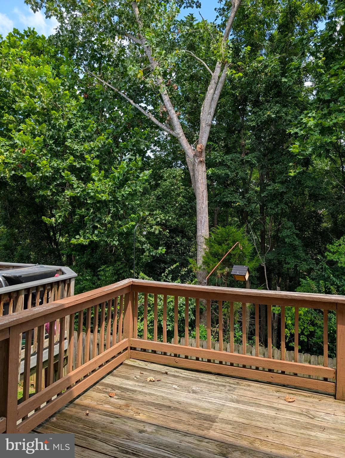 5655 TESSIE COURT