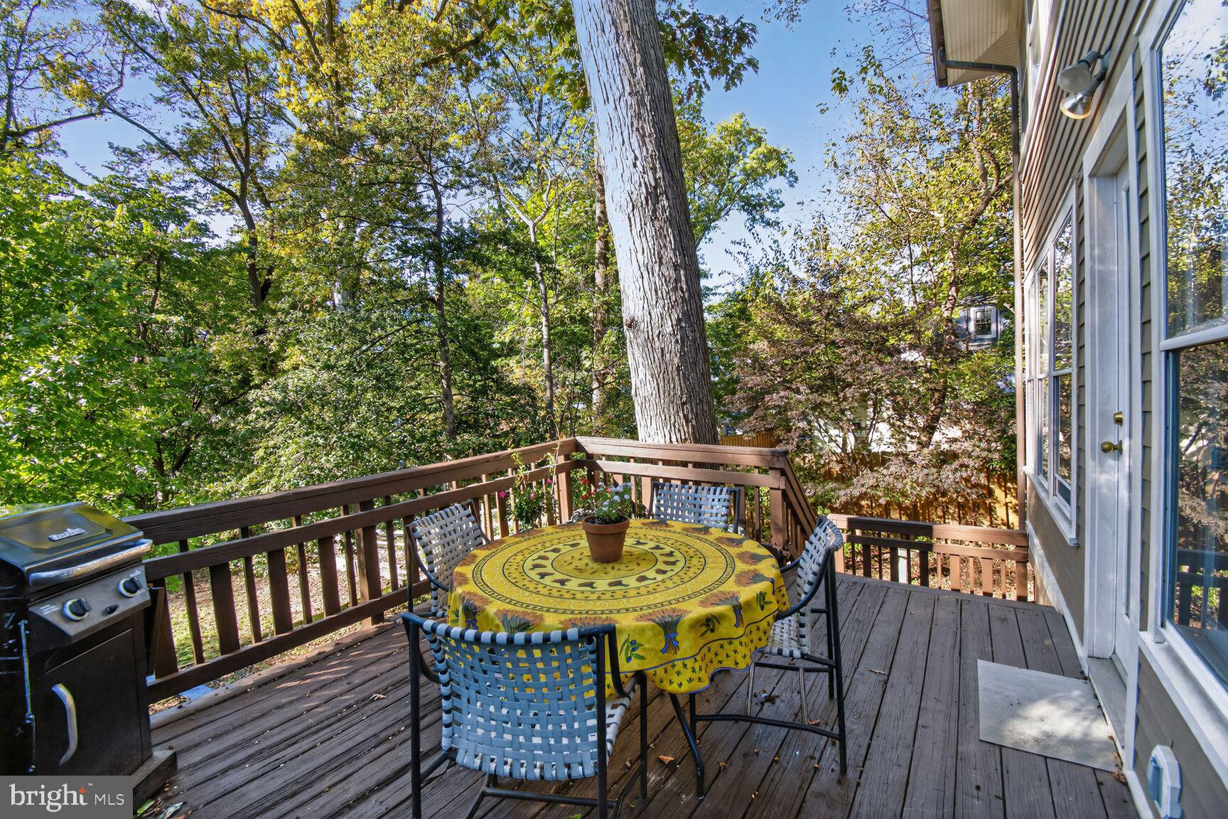 TAKOMA PARK - Residential