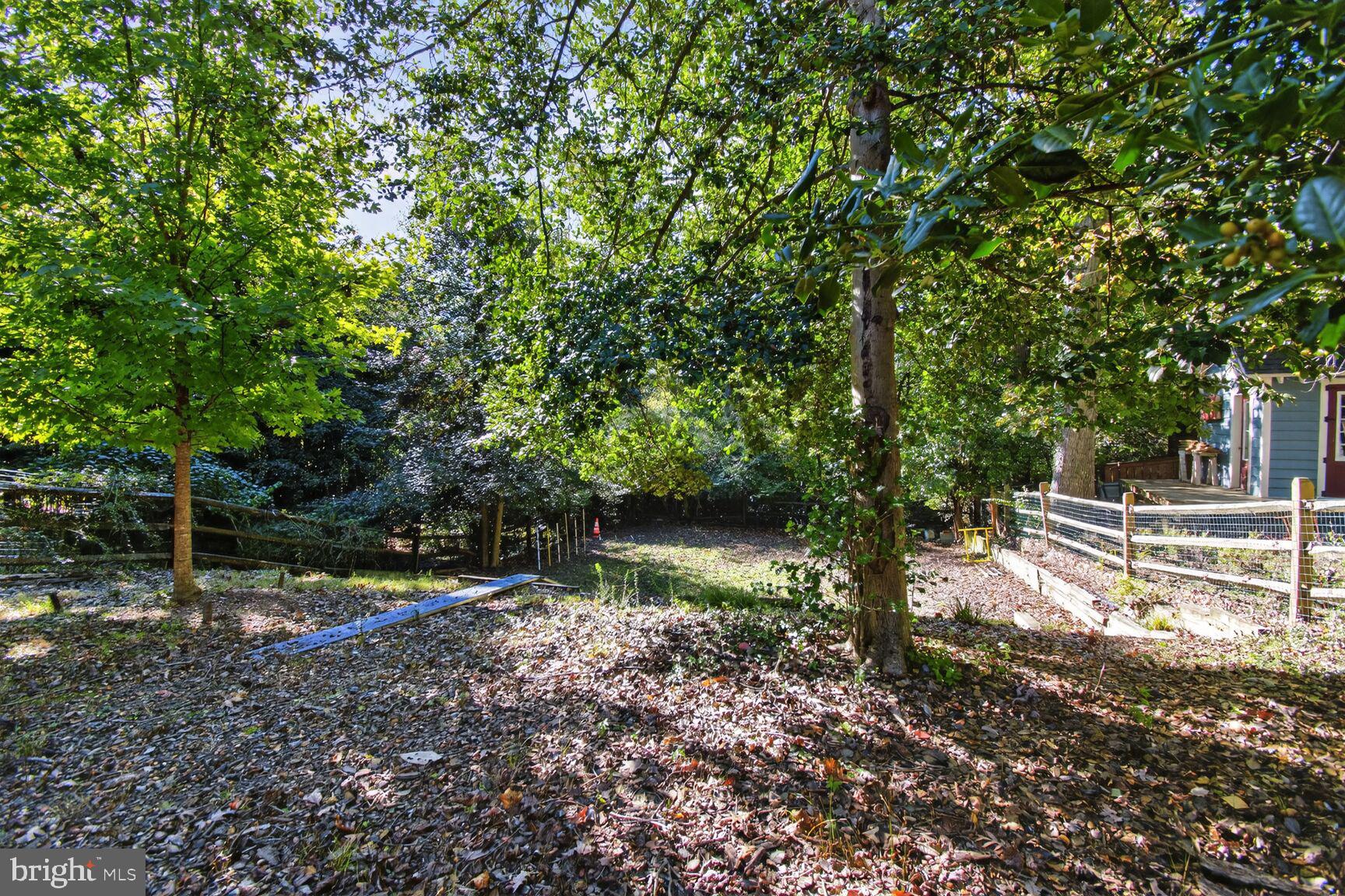 TAKOMA PARK - Residential