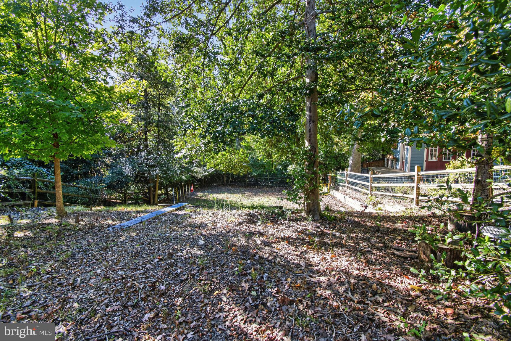 TAKOMA PARK - Residential