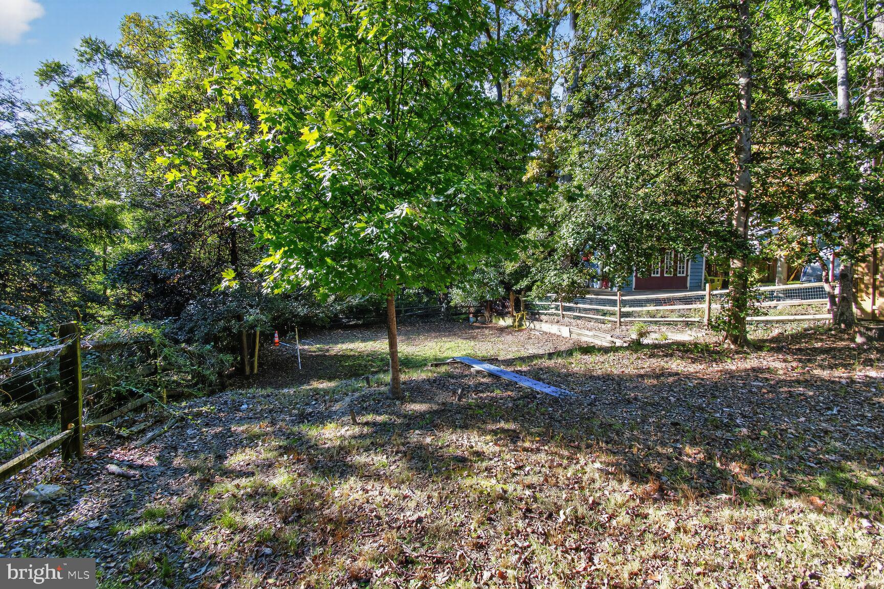 TAKOMA PARK - Residential