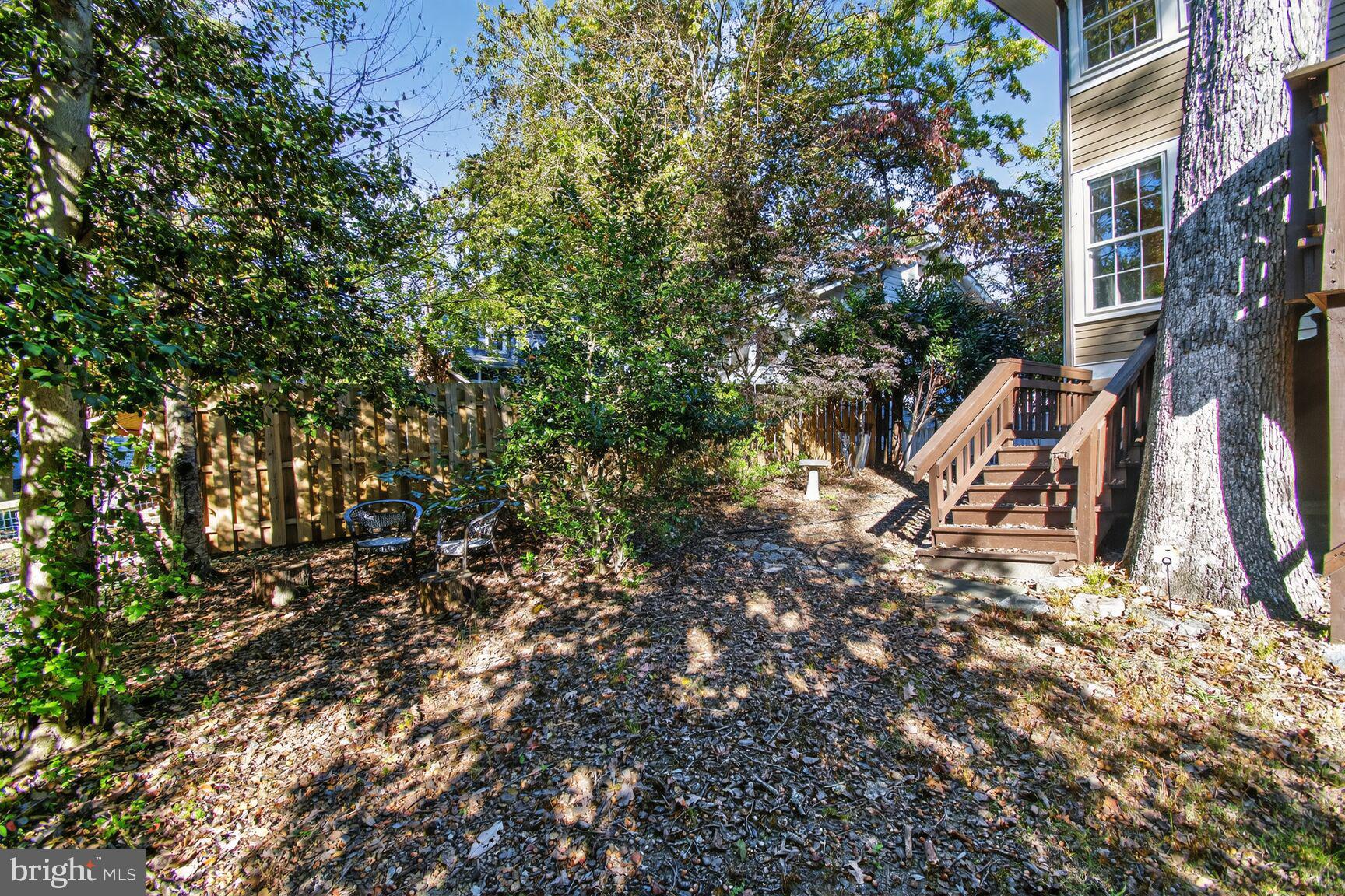 TAKOMA PARK - Residential