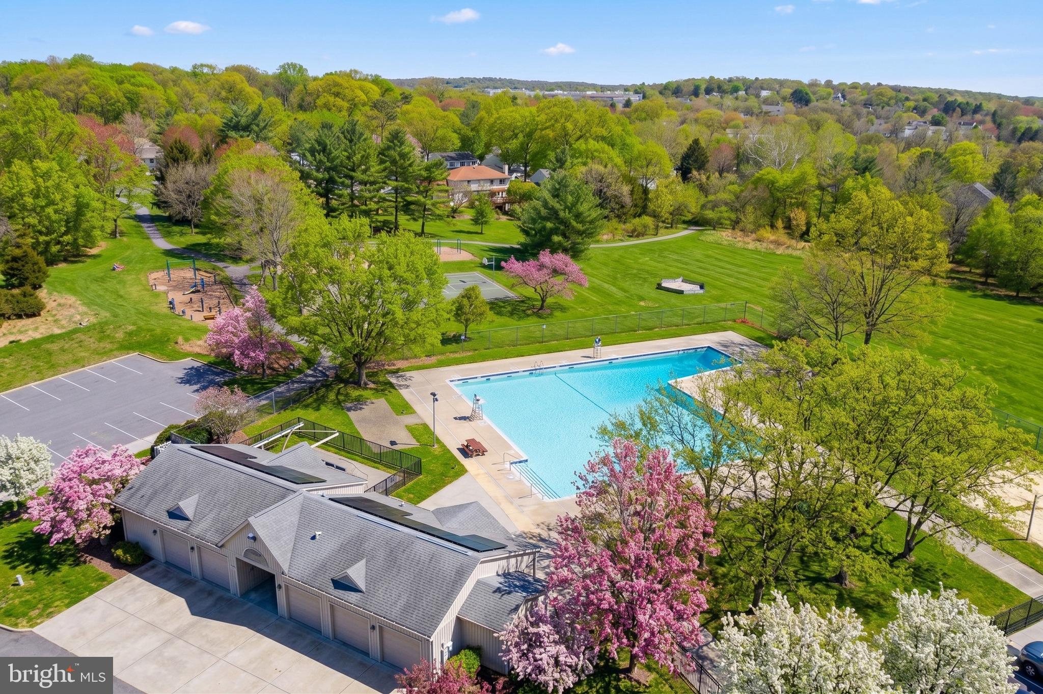 DORSEY SEARCH - Residential