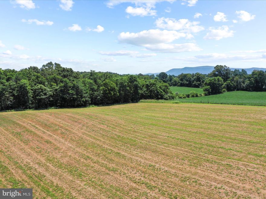 Discover the perfect blend of privacy and convenience with this beautiful 4.4-acre building lot in Strasburg, VA. Tucked away in a peaceful setting, this property offers the ideal location to build your forever home—just 3.8 miles from downtown Strasburg and 1.9 miles from I-81 for an easy commute. According to the engineer, soil work will allow for a 4-bedroom conventional septic system, providing a great head start for your custom build. Don’t miss this opportunity to own a spacious homesite in a desirable location!