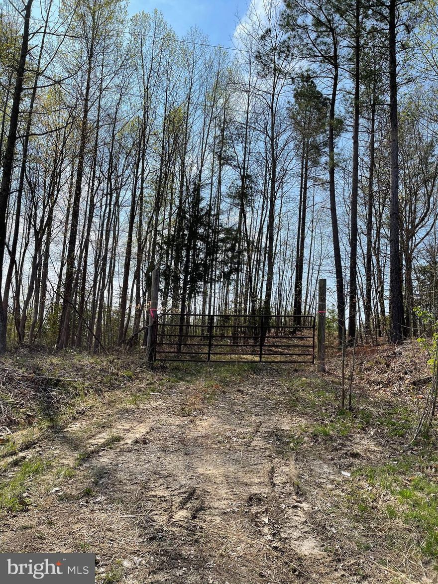 70 acres on Route 3 in King George.  Sought after location between Dahlgren and Fredericksburg.
Trees re-planted 4 years ago.  Imagine your own wildlife sanctuary,   perhaps family subdivision or start your own farm!  Enjoy the freedom and quiet of country living in King George.  Low taxes - currently in Land Use, only $225 a year!  Purchaser responsible for any roll back taxes. Older survey available.  No soil work has been done.  Call for gate code to walk at your leisure. 
Contract fell through - no fault of seller/land.