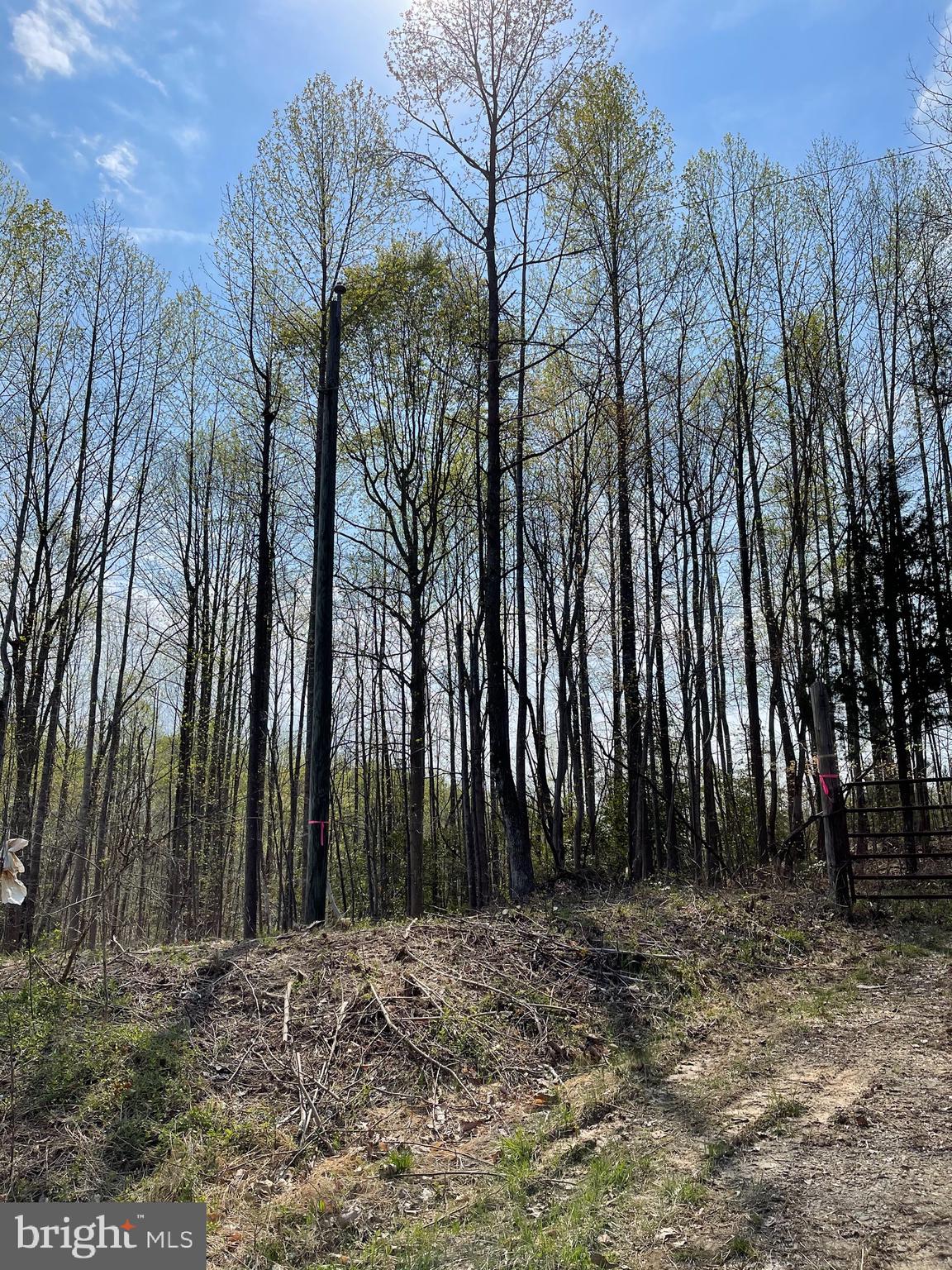 NONE AVAILABLE - Land