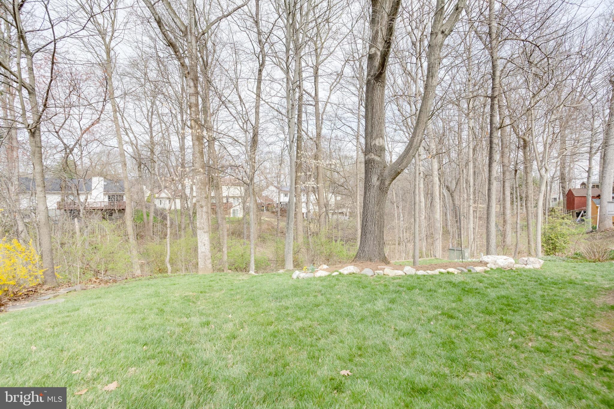 BENT TREE - Residential