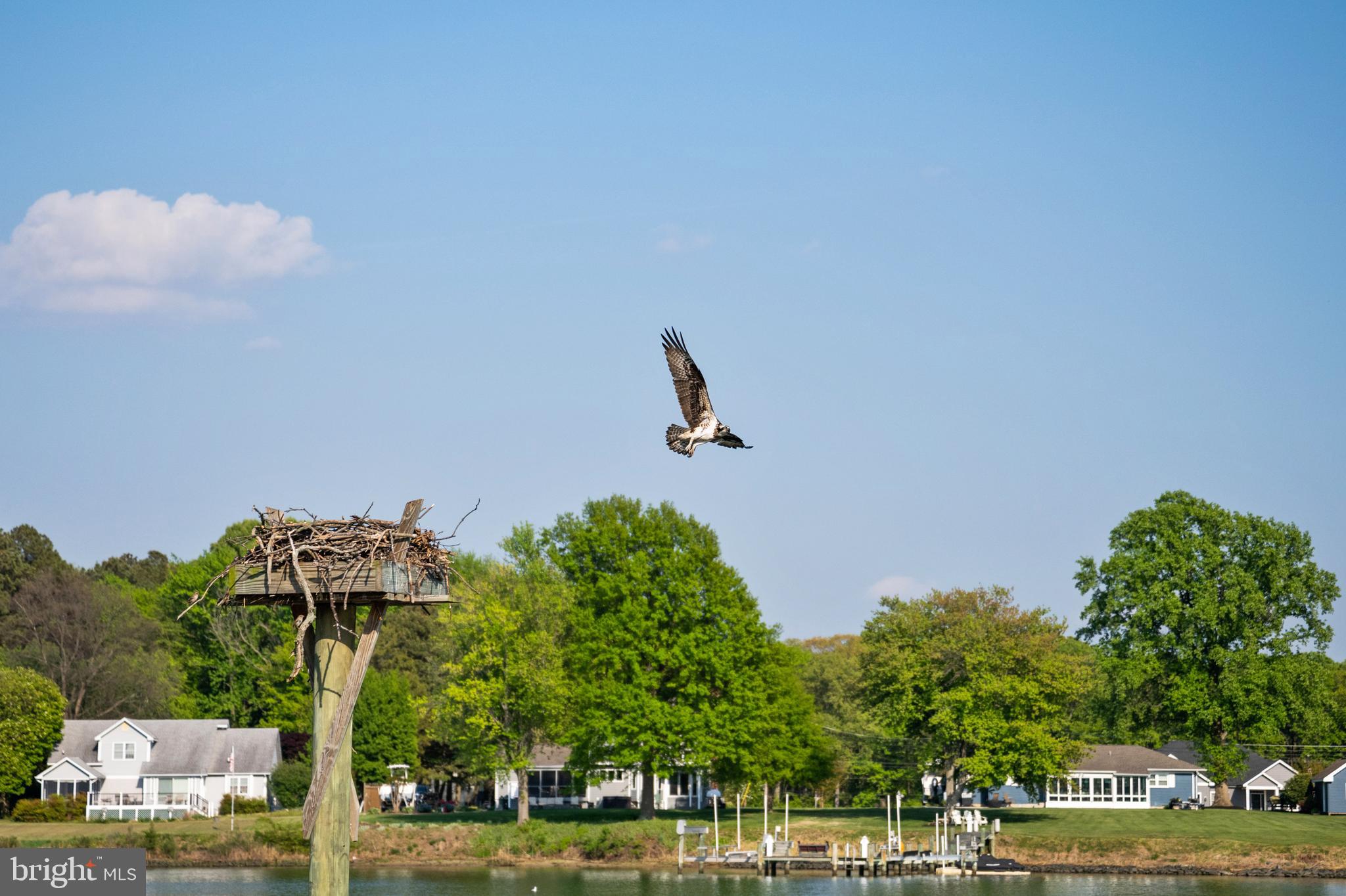 SERENITY FARMS - Residential