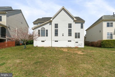 listing image 50