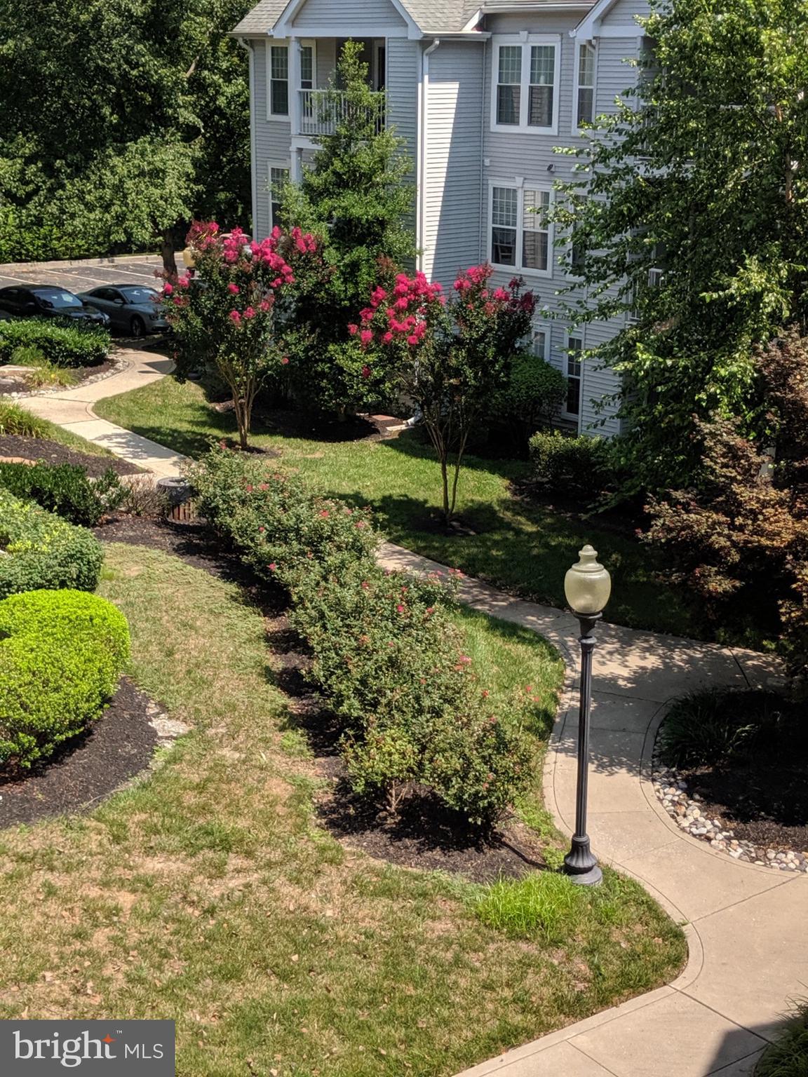 SILVERBROOK FARMS - Residential