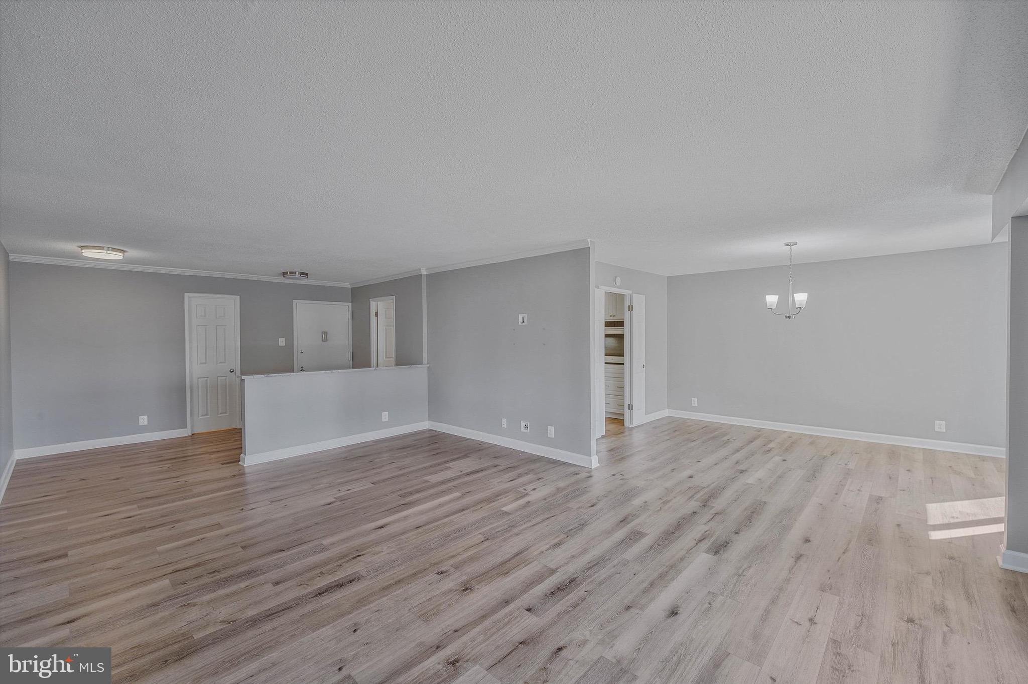 309 YOAKUM PARKWAY 807