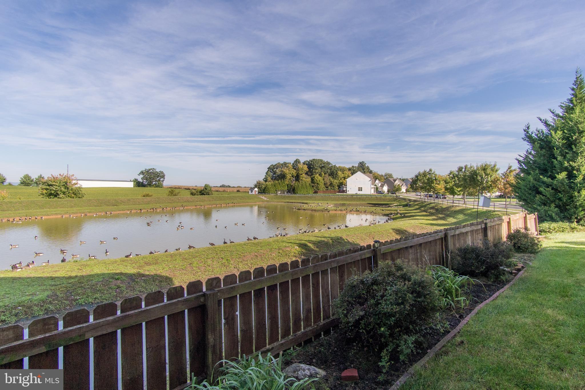 GREENFIELD AT COLLEGIATE ACRES - Residential