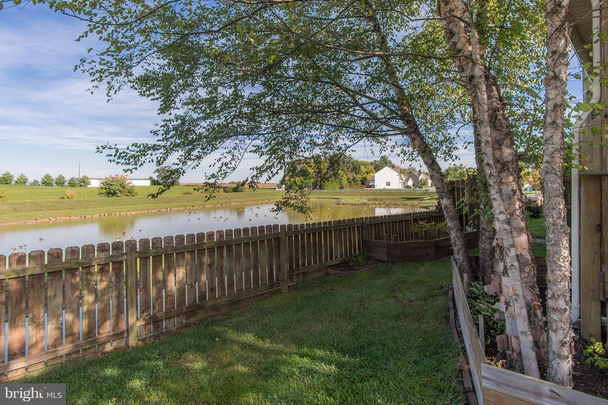 GREENFIELD AT COLLEGIATE ACRES - Residential